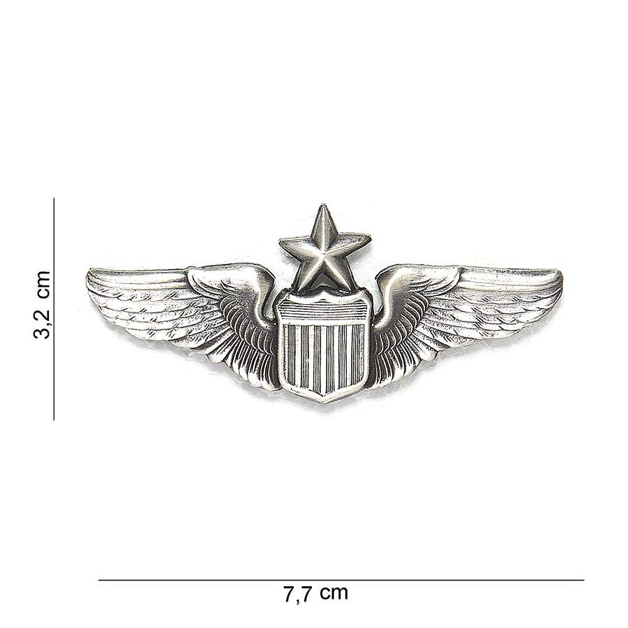 US WING SENIOR PILOT