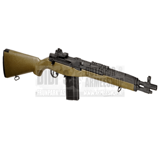 SOC 16 OD (CYMA)