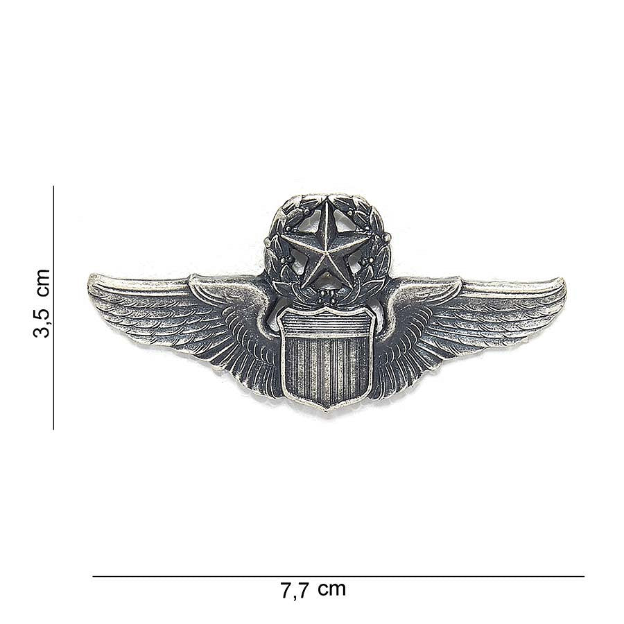 US Commanding Pilot
