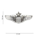 US WING SENIOR PILOT