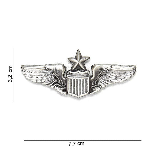 US WING SENIOR PILOT