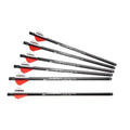 Umarex AirArchery Arrows für AirJavelin, 6 St.Pfeile