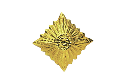 NVA Dienstgradstern Gold Gebr.