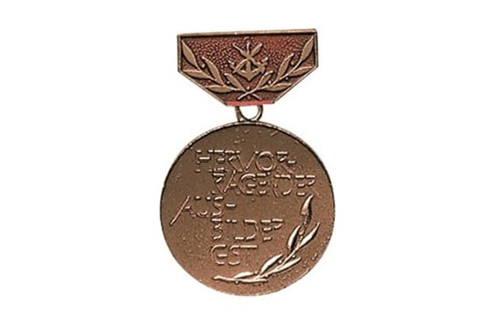 GST MEDAILLE "AUSBILDER" Bronze Gebr.