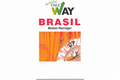 BRASIL Möbelreiniger