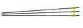 Div. NXG Fiberglas & Carbon Pfeile 30" 3Stk. Spine 350 - 500