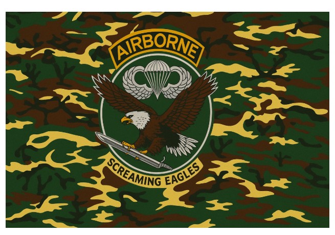 Flagge, U.S. Airborne camo neu
