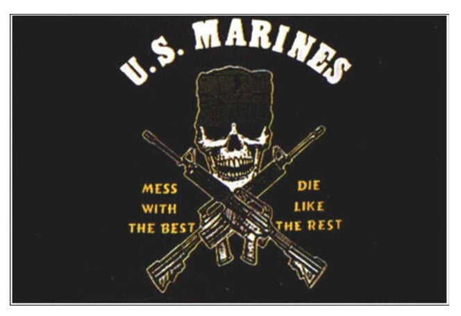 Flagge, U.S. Marines neu