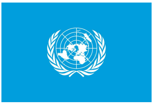 UNO Flagge (90 x 150 cm) - MFH